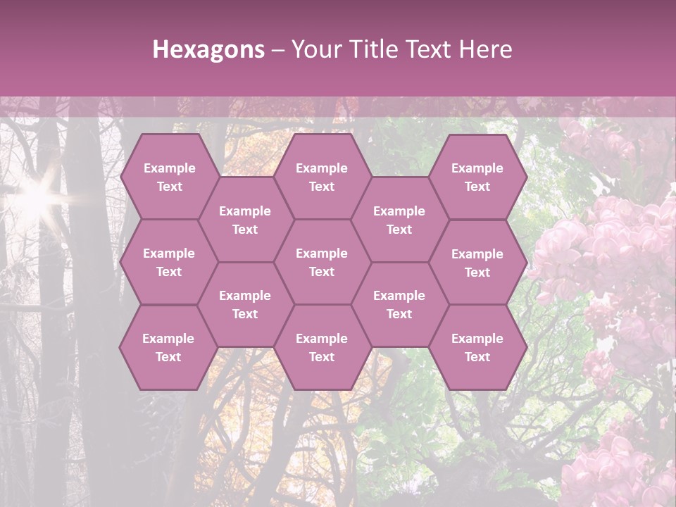 Summer Autumn Winter Spring PowerPoint Template