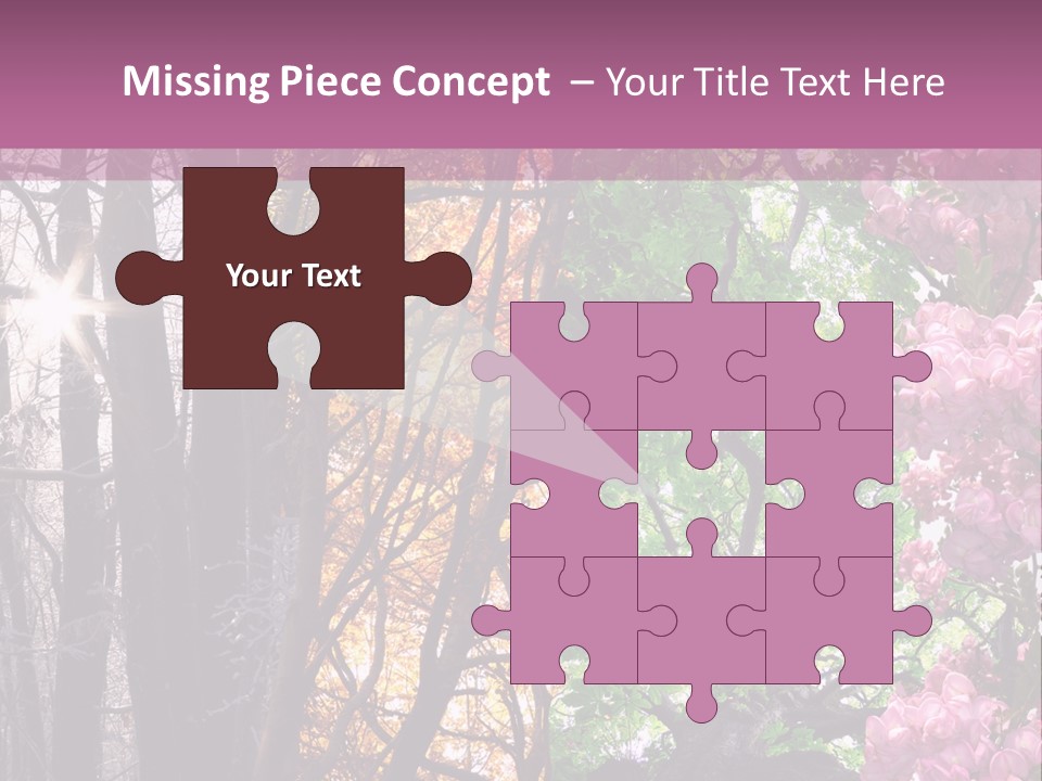 Summer Autumn Winter Spring PowerPoint Template