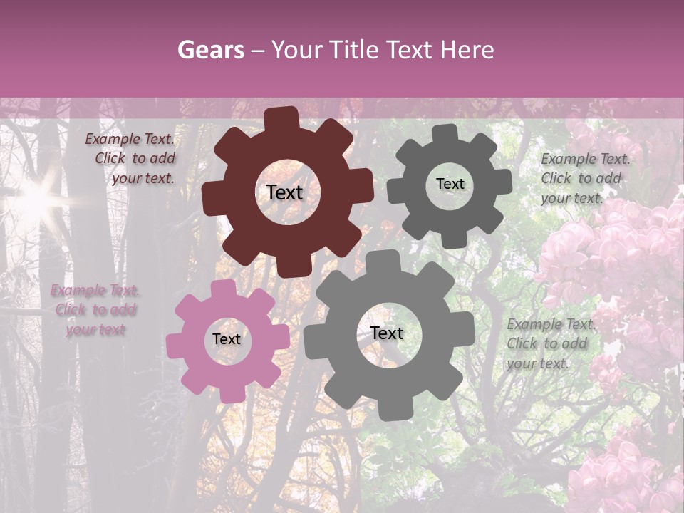 Summer Autumn Winter Spring PowerPoint Template