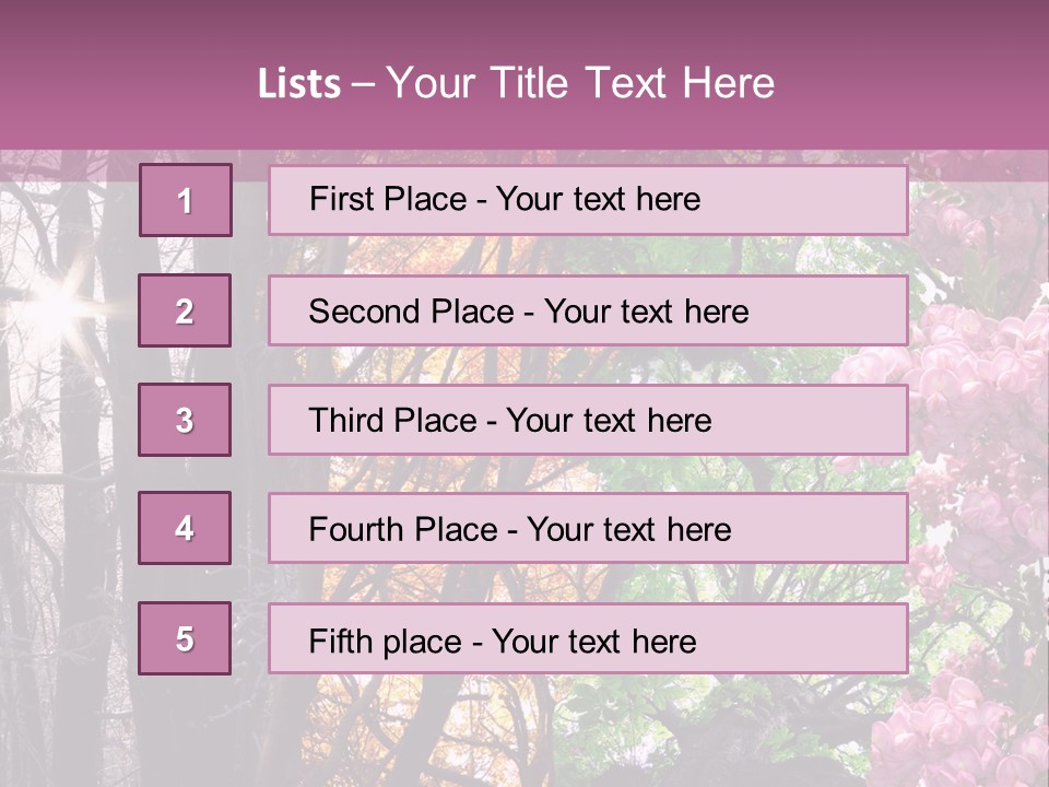 Summer Autumn Winter Spring PowerPoint Template