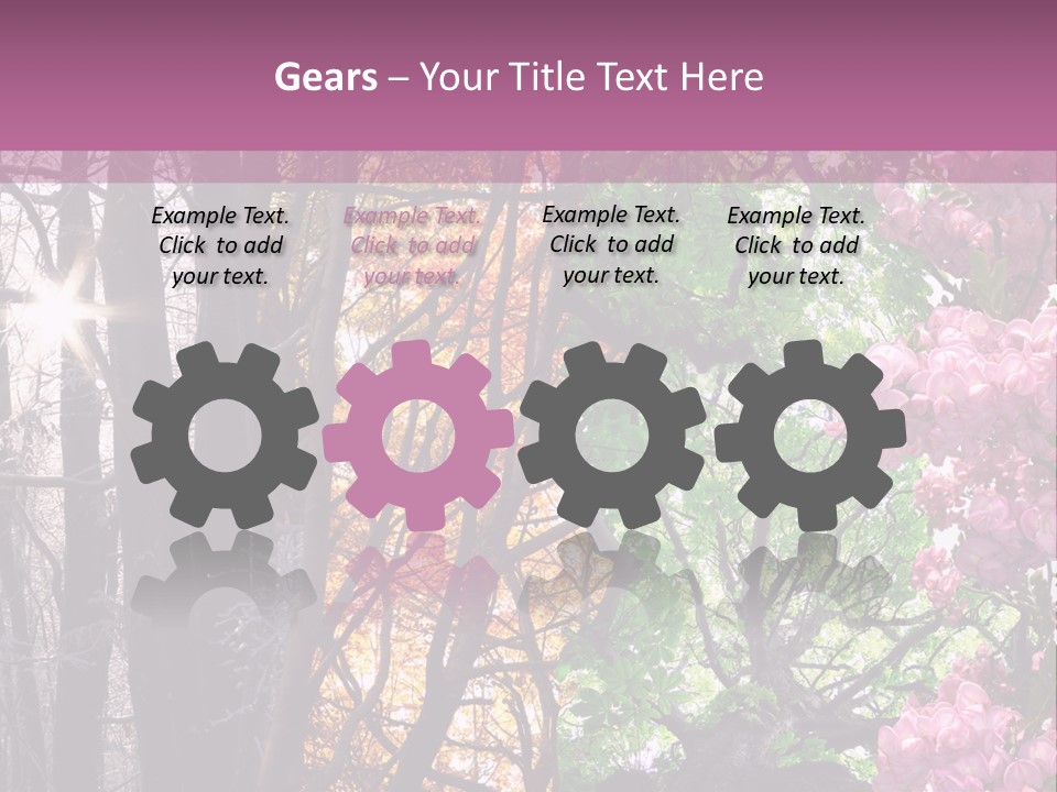 Summer Autumn Winter Spring PowerPoint Template