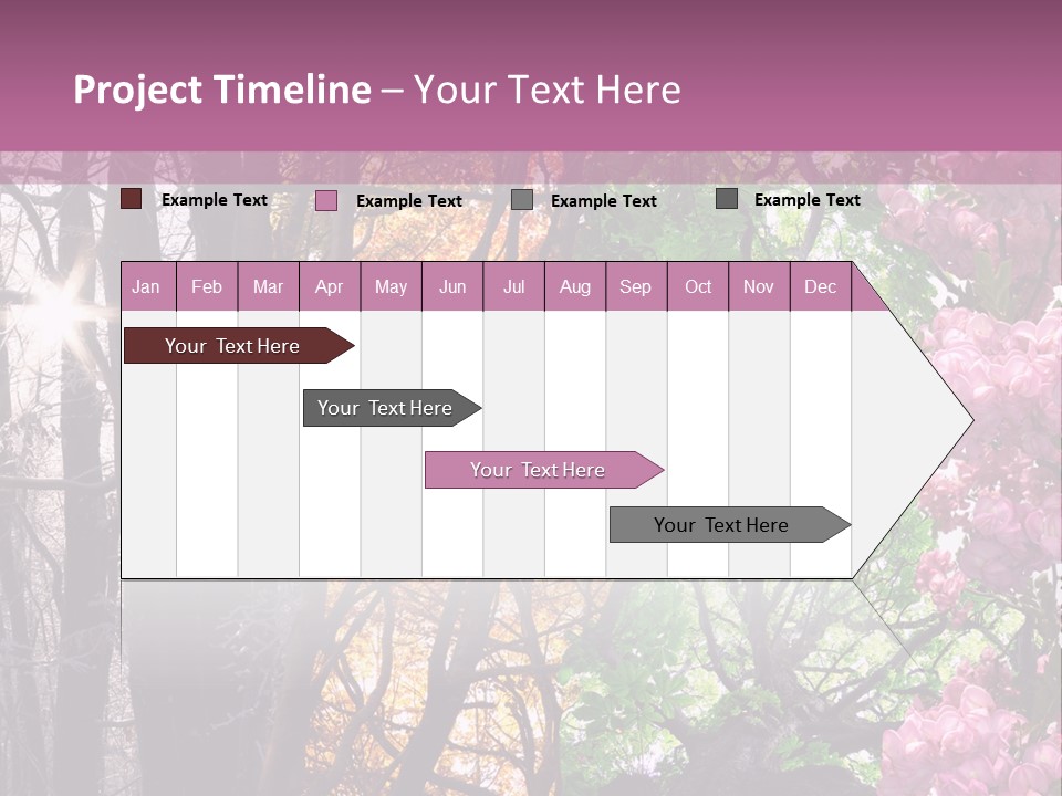 Summer Autumn Winter Spring PowerPoint Template