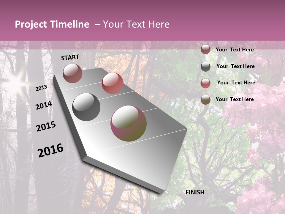 Summer Autumn Winter Spring PowerPoint Template