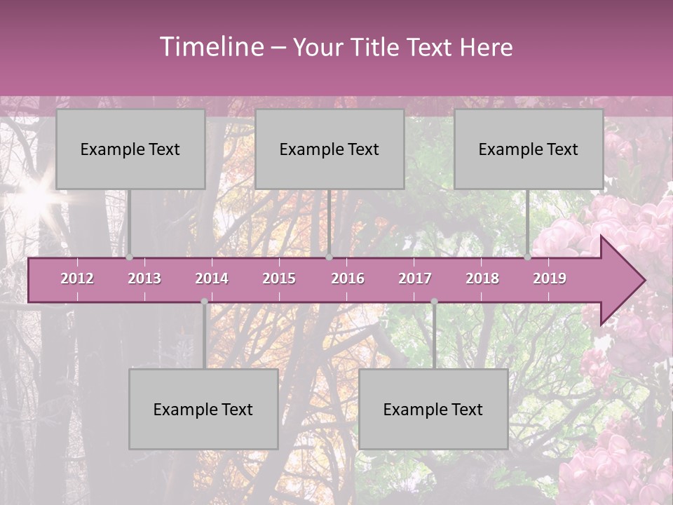 Summer Autumn Winter Spring PowerPoint Template