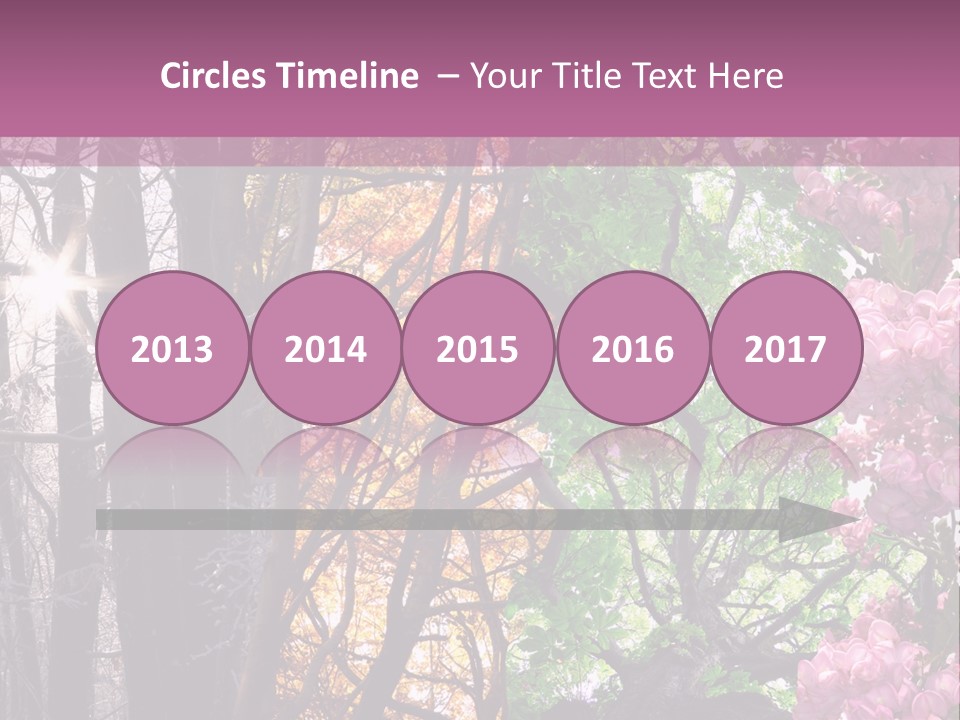 Summer Autumn Winter Spring PowerPoint Template