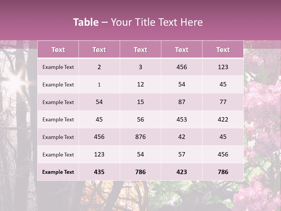 Summer Autumn Winter Spring PowerPoint Template