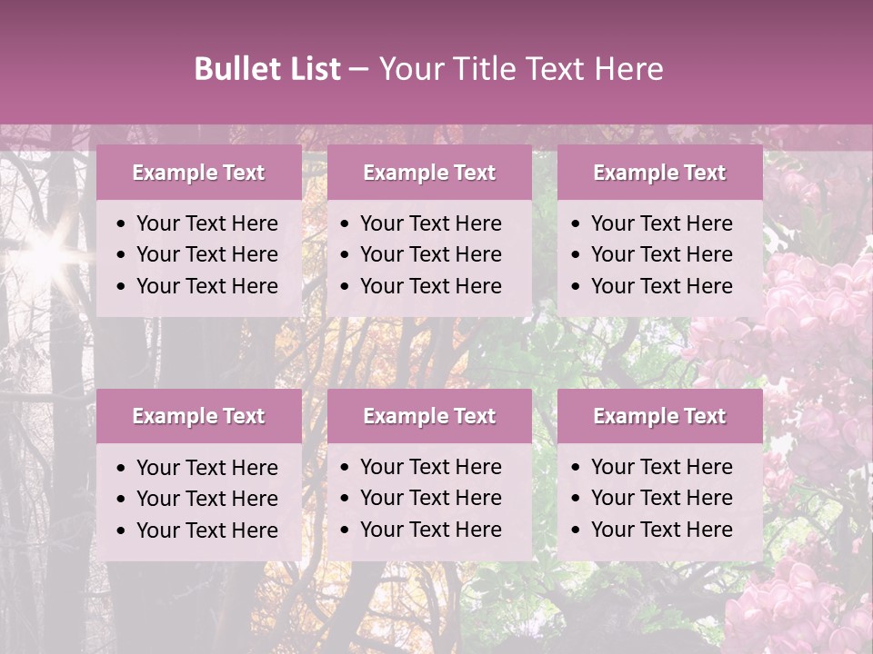 Summer Autumn Winter Spring PowerPoint Template
