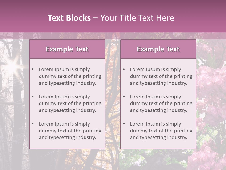 Summer Autumn Winter Spring PowerPoint Template