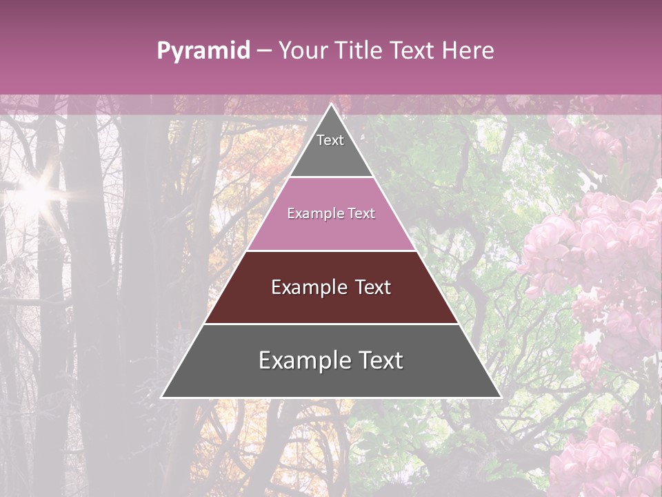 Summer Autumn Winter Spring PowerPoint Template