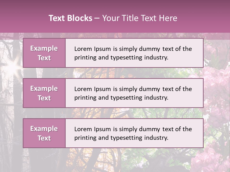 Summer Autumn Winter Spring PowerPoint Template