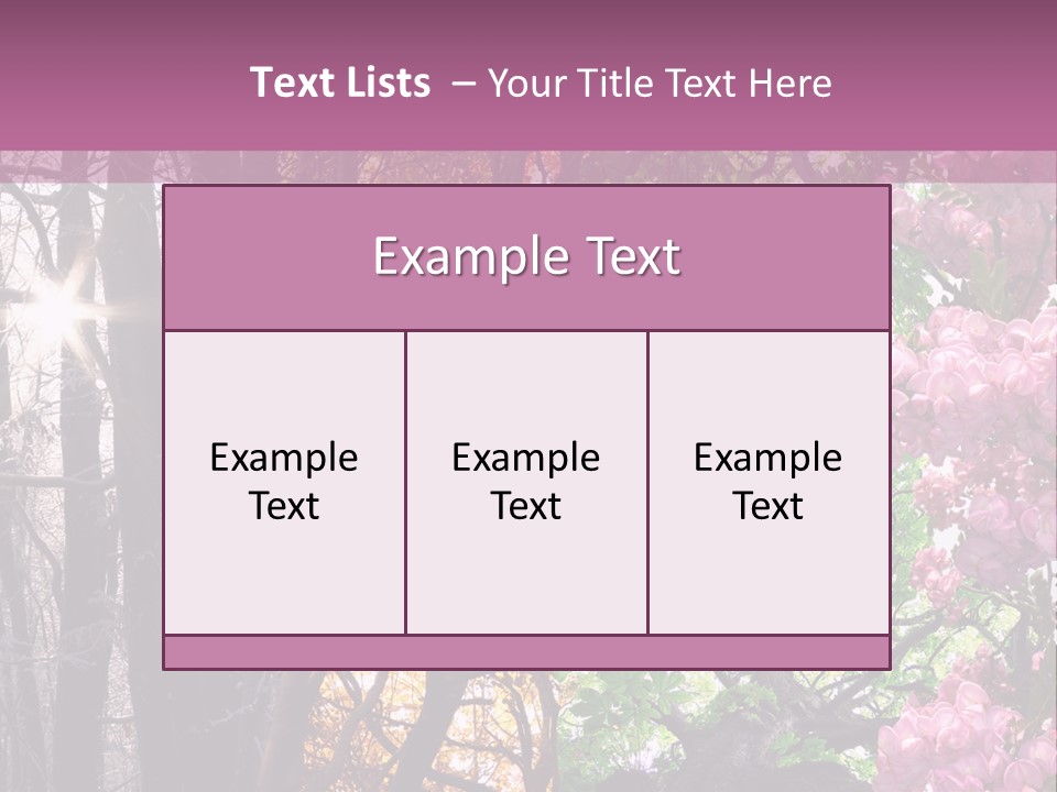 Summer Autumn Winter Spring PowerPoint Template