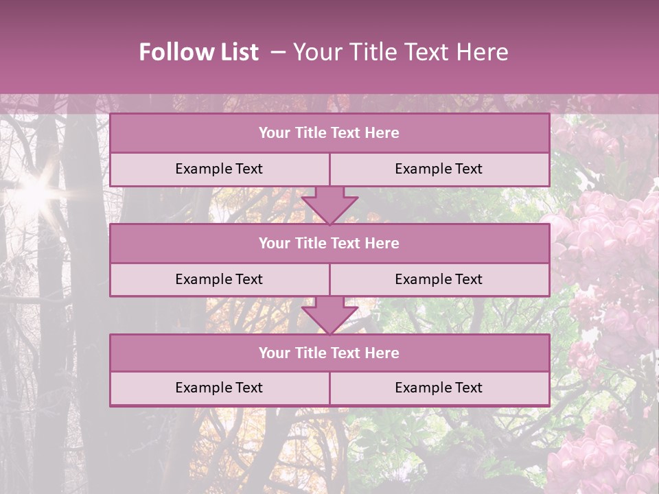 Summer Autumn Winter Spring PowerPoint Template