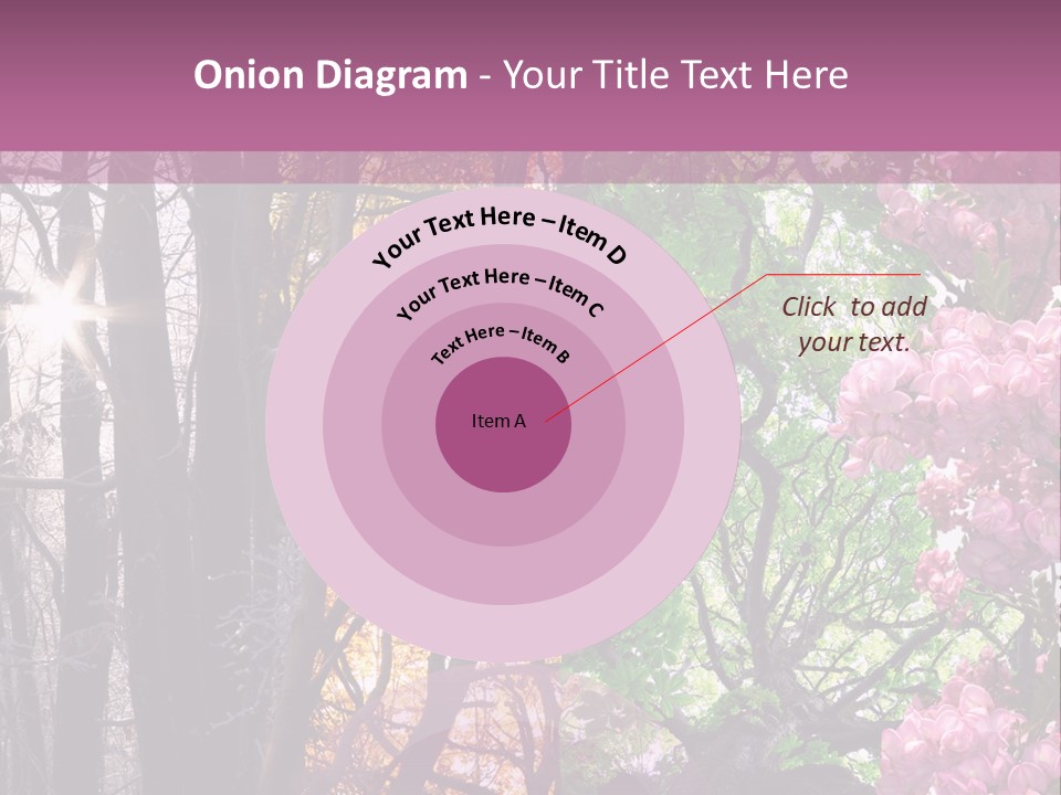 Summer Autumn Winter Spring PowerPoint Template