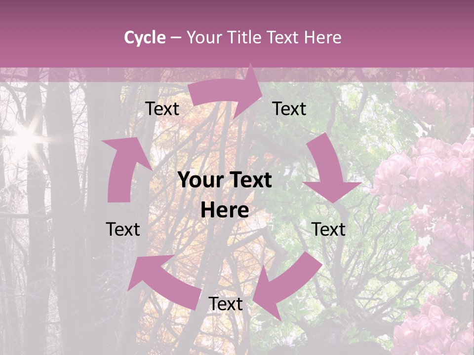 Summer Autumn Winter Spring PowerPoint Template