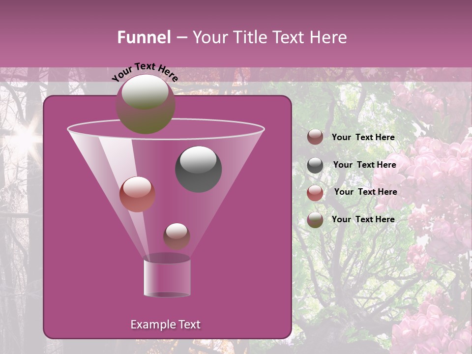 Summer Autumn Winter Spring PowerPoint Template