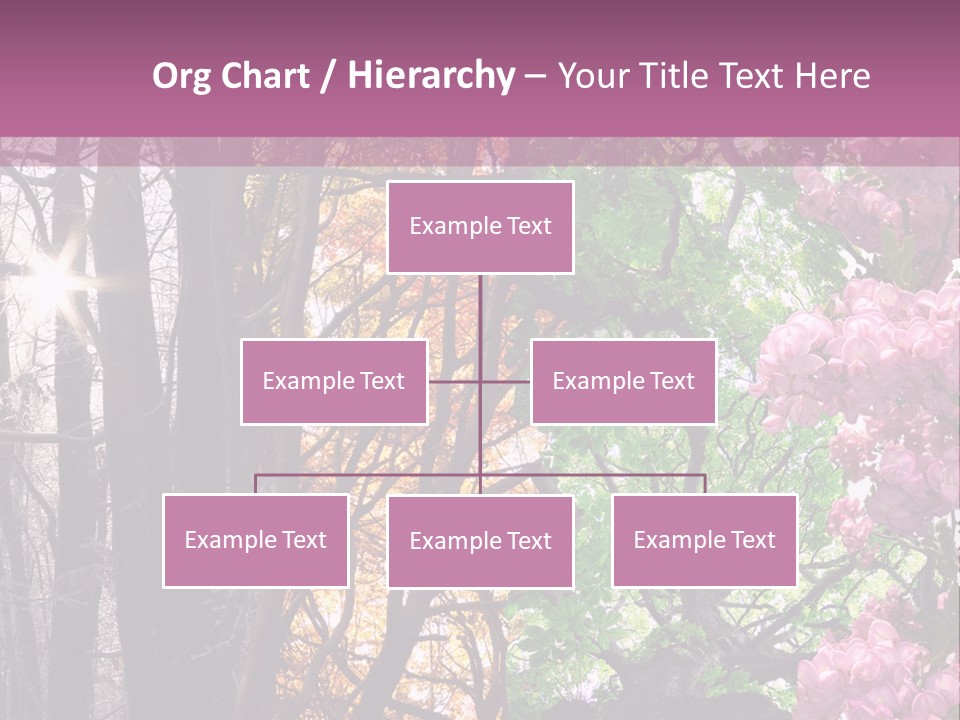 Summer Autumn Winter Spring PowerPoint Template