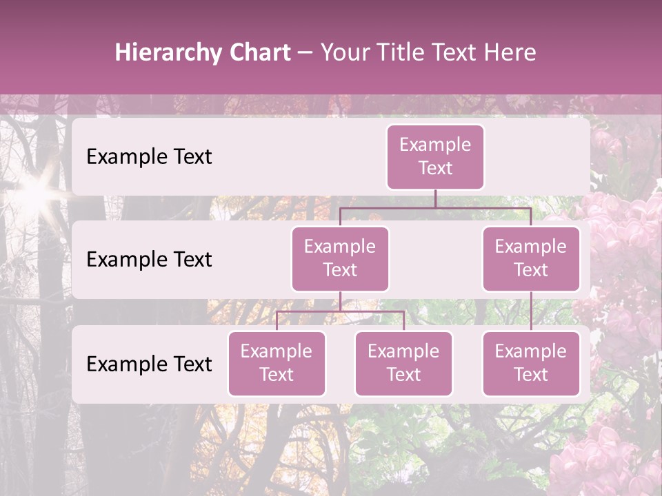 Summer Autumn Winter Spring PowerPoint Template