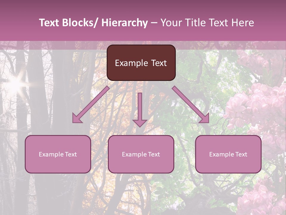 Summer Autumn Winter Spring PowerPoint Template