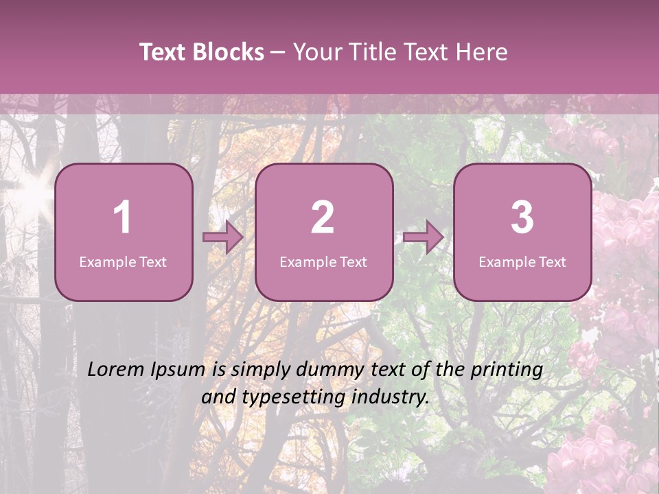 Summer Autumn Winter Spring PowerPoint Template