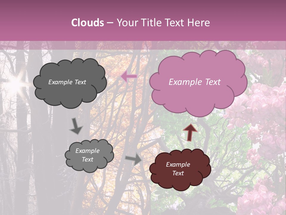 Summer Autumn Winter Spring PowerPoint Template