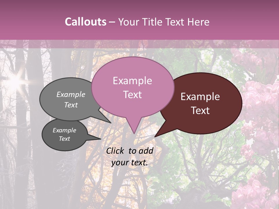 Summer Autumn Winter Spring PowerPoint Template