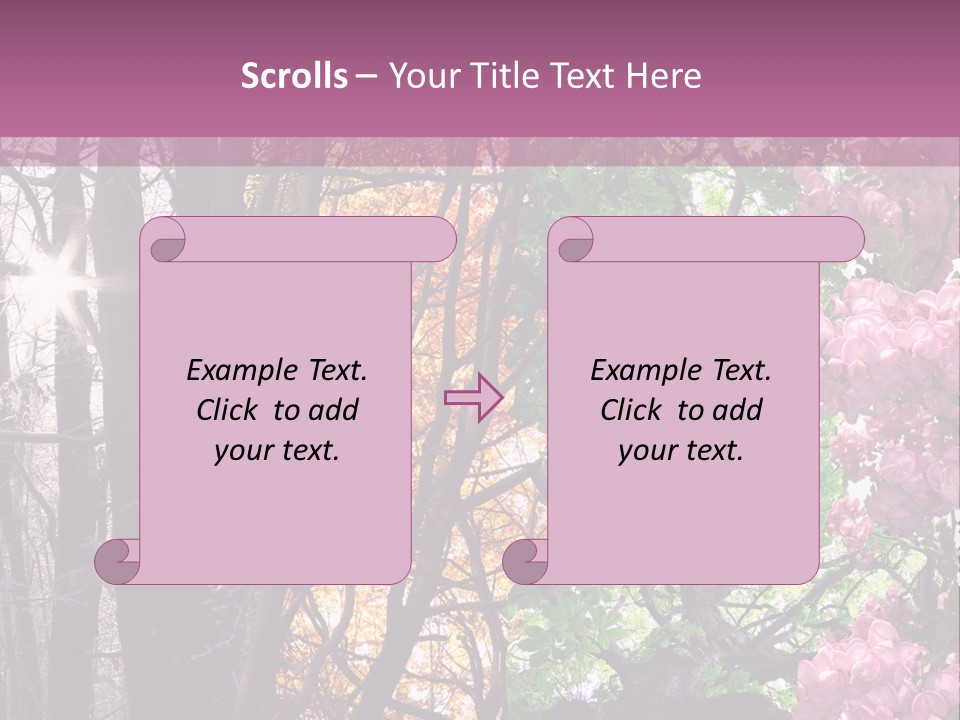 Summer Autumn Winter Spring PowerPoint Template