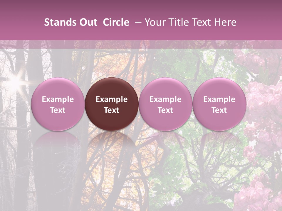 Summer Autumn Winter Spring PowerPoint Template