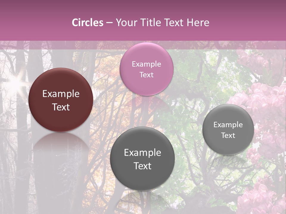 Summer Autumn Winter Spring PowerPoint Template