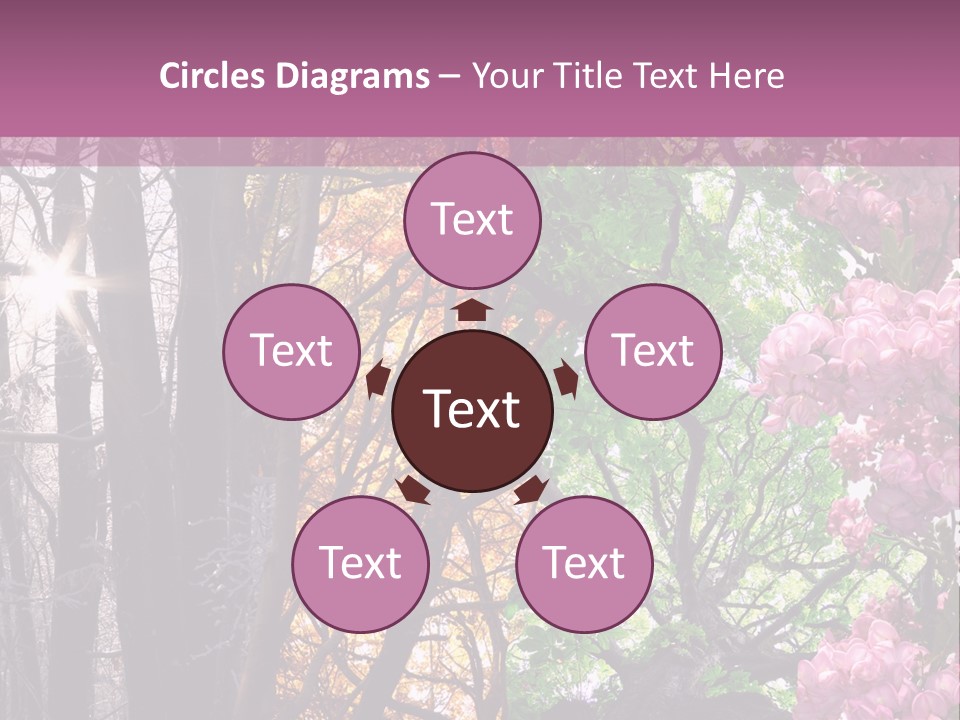 Summer Autumn Winter Spring PowerPoint Template