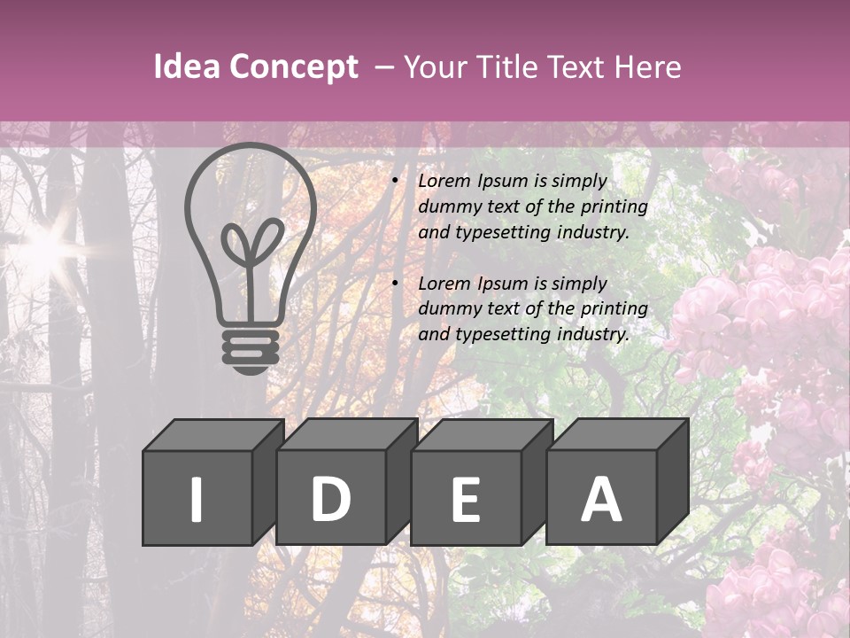 Summer Autumn Winter Spring PowerPoint Template