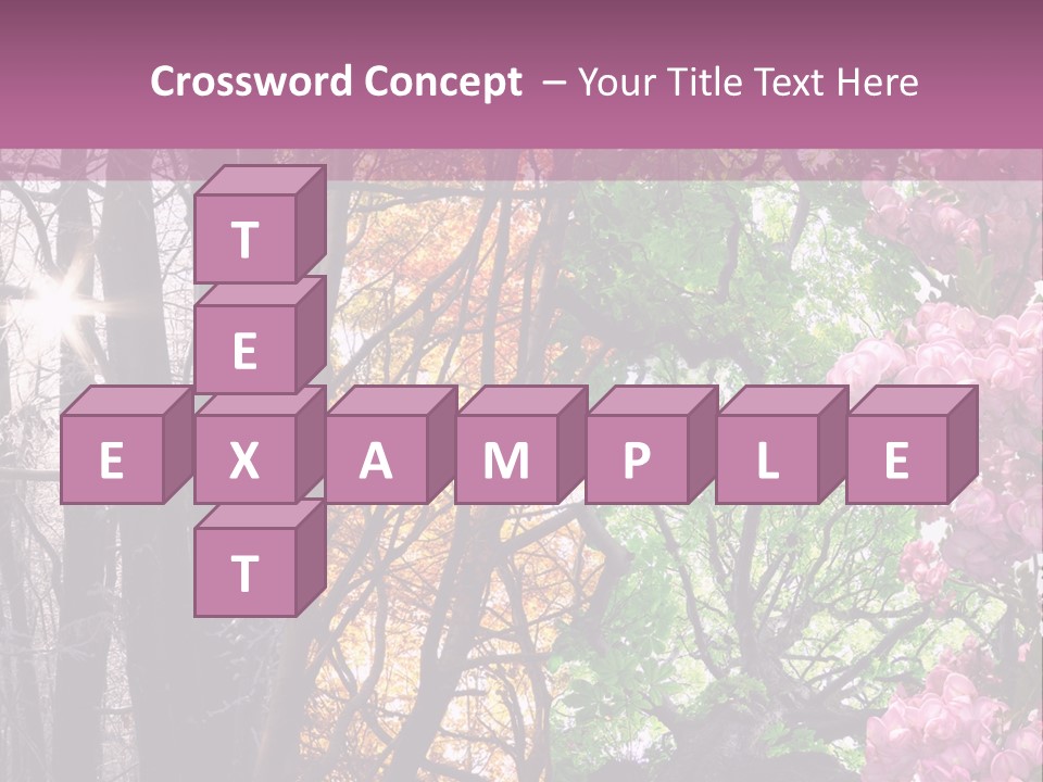 Summer Autumn Winter Spring PowerPoint Template