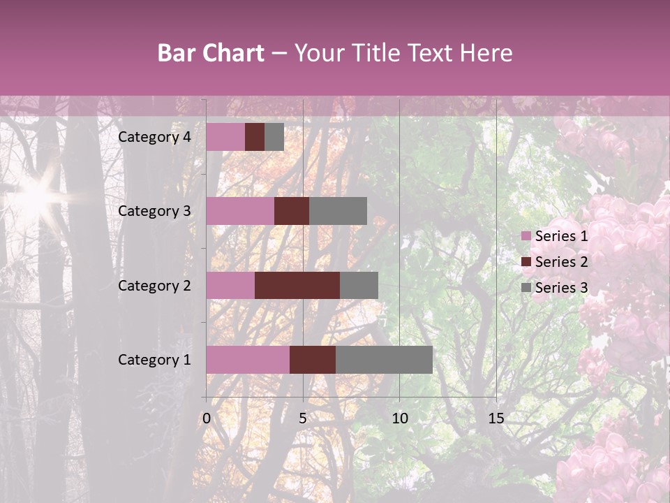 Summer Autumn Winter Spring PowerPoint Template