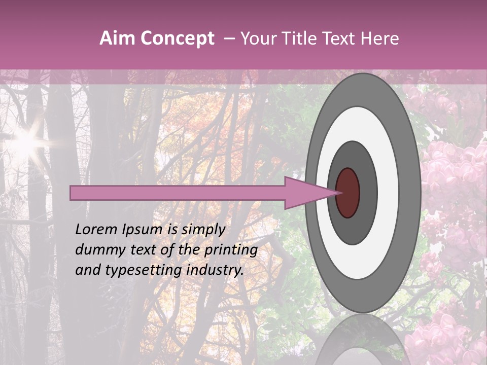 Summer Autumn Winter Spring PowerPoint Template