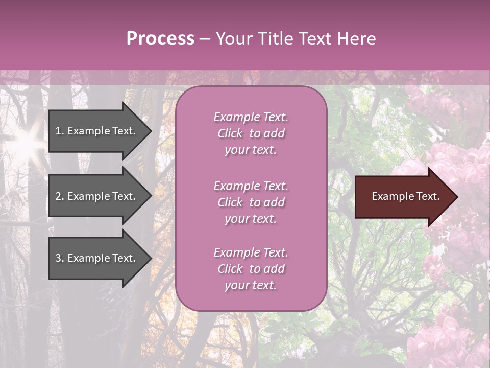 Summer Autumn Winter Spring PowerPoint Template
