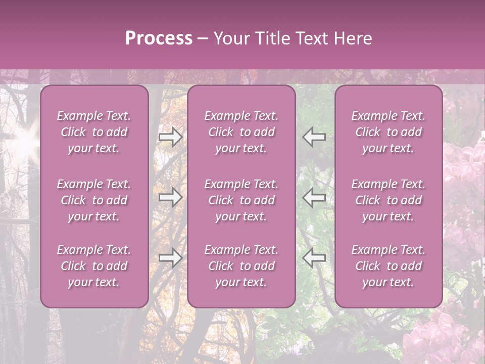 Summer Autumn Winter Spring PowerPoint Template
