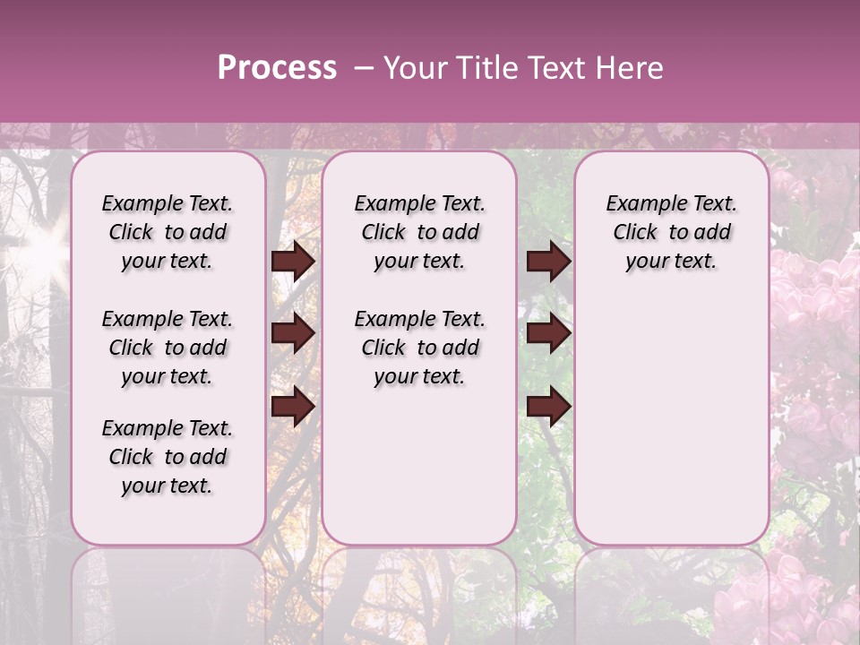 Summer Autumn Winter Spring PowerPoint Template
