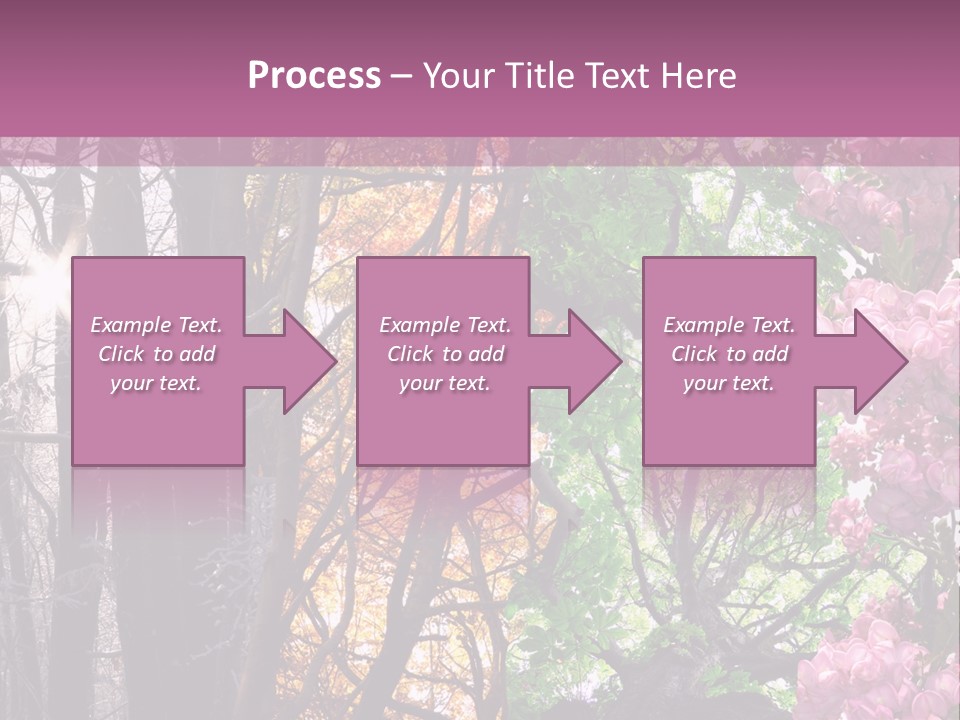 Summer Autumn Winter Spring PowerPoint Template