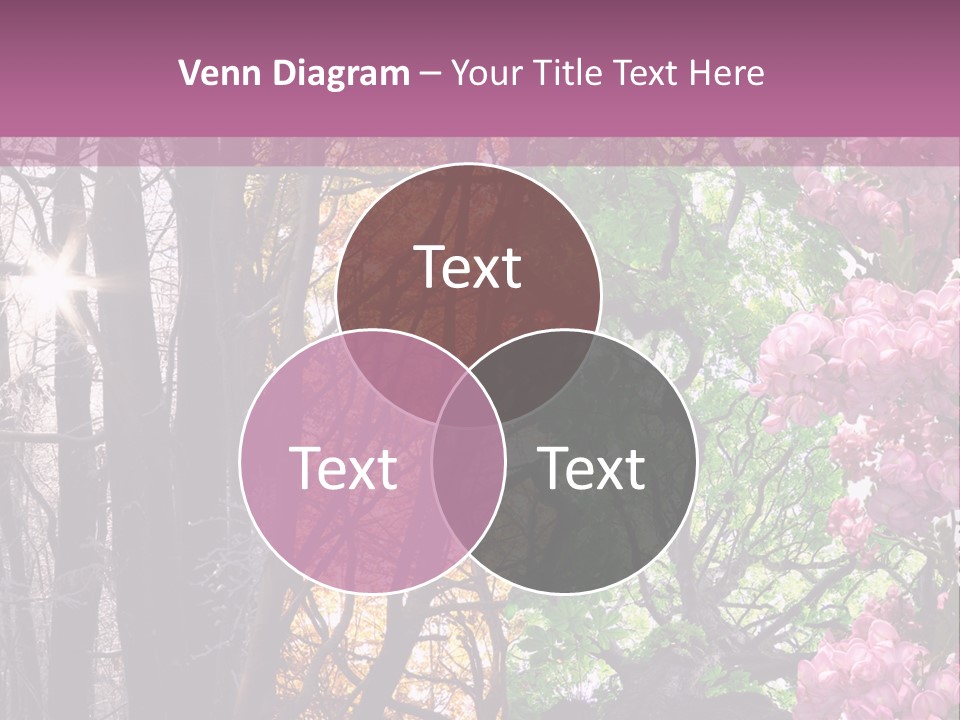 Summer Autumn Winter Spring PowerPoint Template