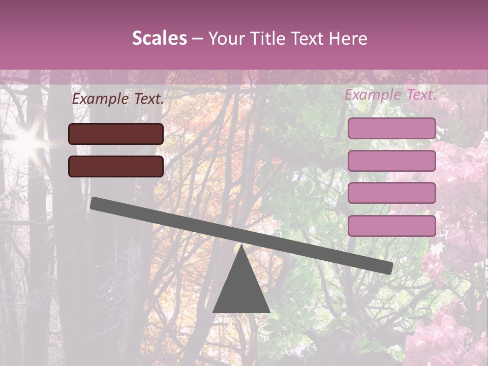 Summer Autumn Winter Spring PowerPoint Template