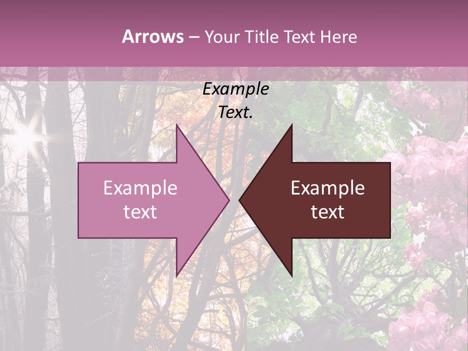 Summer Autumn Winter Spring PowerPoint Template
