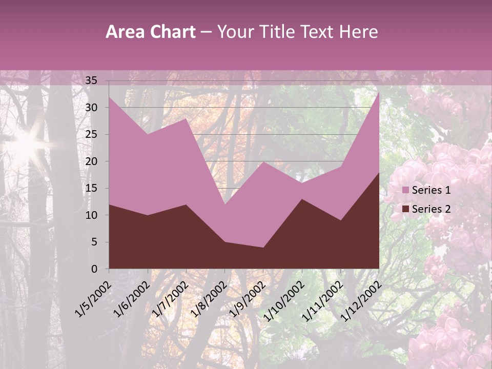 Summer Autumn Winter Spring PowerPoint Template