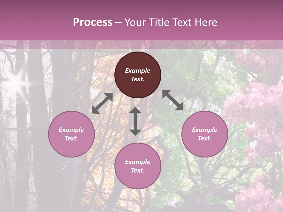 Summer Autumn Winter Spring PowerPoint Template