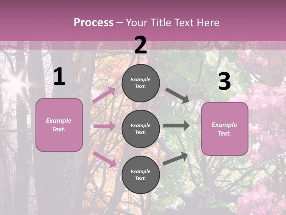 Summer Autumn Winter Spring PowerPoint Template