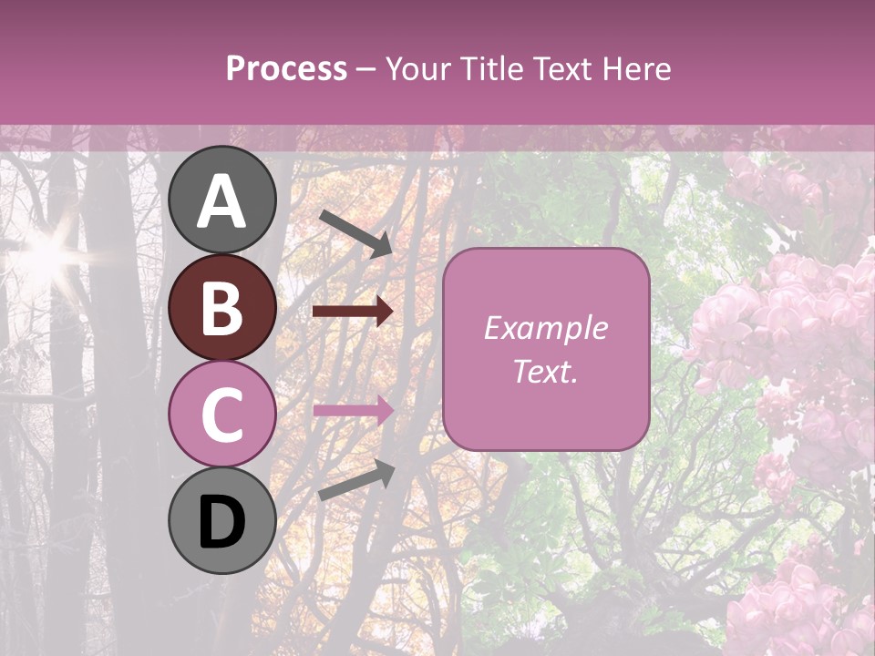 Summer Autumn Winter Spring PowerPoint Template
