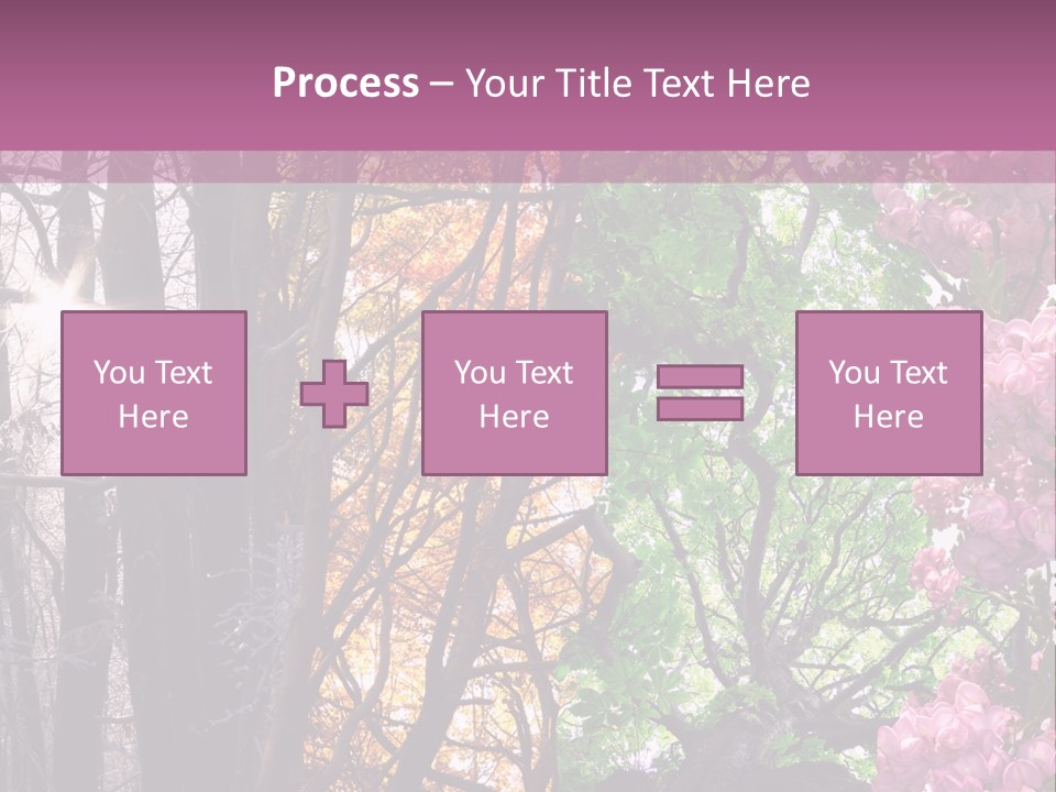 Summer Autumn Winter Spring PowerPoint Template