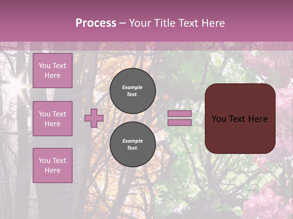 Summer Autumn Winter Spring PowerPoint Template