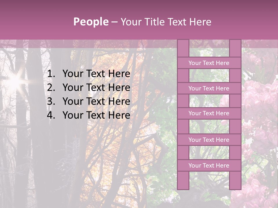 Summer Autumn Winter Spring PowerPoint Template