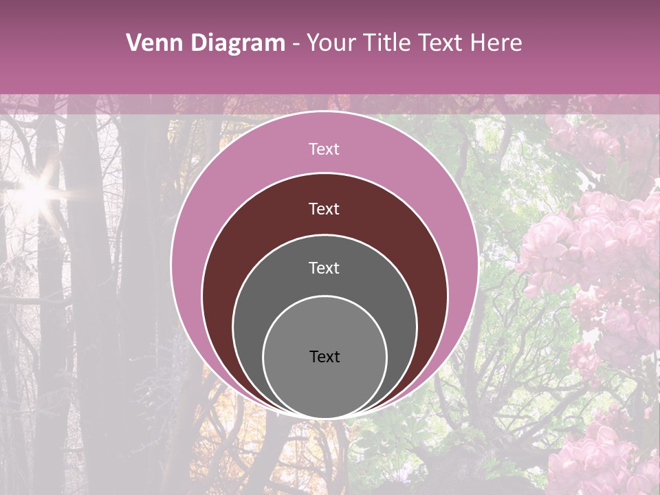 Summer Autumn Winter Spring PowerPoint Template