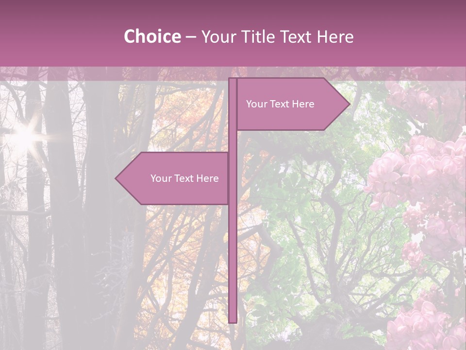 Summer Autumn Winter Spring PowerPoint Template