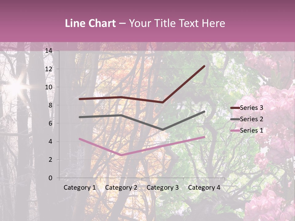 Summer Autumn Winter Spring PowerPoint Template